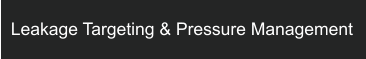 Leakage Targeting & Pressure Management