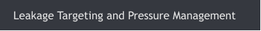 Leakage Targeting and Pressure Management