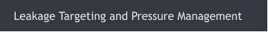 Leakage Targeting and Pressure Management